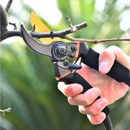 Pruning Shears Heavy Duty Garden Scissor Plant Cutter Branch Cutter Stainless Plant Scissors