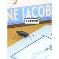 New Product Boredom Give Ta a Moving Cockroach PlayTricky Creative Small Toy Solar Decoration RBQ0