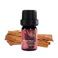 Amour 精油 - Sandalwood Essential Oil - 檀香 5ml - 100% Pure