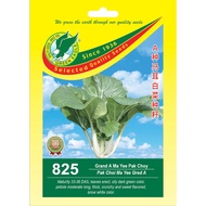 GE 825 GRED A MAA  YEE PAK CHOY