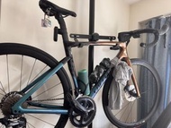 2020 Specialized Tarmac SL7 Expert 公路單車