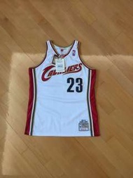 lebron James AU jersey