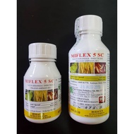 MIFLEX 5 SC FIPRONIL 5%  ANAI-ANAI (#MEMBAWA UBAT BALIK KE SARANG)