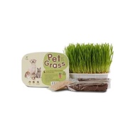 Green Pett Pet Grass Organic Wheatgrass Growing Kit for Pets