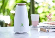 EcoHeal Photosynthetic E-tree (Air Purifier)