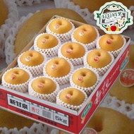 日本鳥取新甘泉梨/秋甘泉梨 原箱5kg (10-14庄)