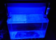 【光力能LED燈坊】特製2尺缸高亮12*3W大功率LED藍光泛光多功能伸縮型水族珊瑚跨燈