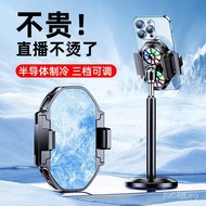 Live Radiator Adjustable Back Swimming Radiator Block Live Three Clip Hand Fan Mobile Phone New Styl