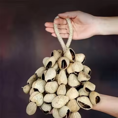 Handheld Shell Rattle Bells Seed Pod Wind Chime Percussion Instrument Soothing Sound For Meditation 