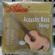 Acoustic Bass Strings - Hexagonal Core