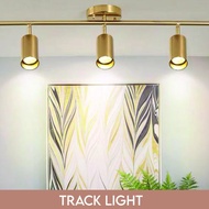 Gold Track Light Ceiling Light with GU10 Bulb