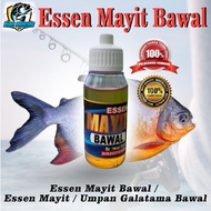 Essen Mayit Bawal Asli Buatan IWAN TEGEK