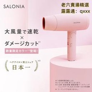 熱賣【現貨】日本直送 SALONIA  SL 013負離子吹風機  大風量 速乾 吹風機 負離子 折疊 輕量  新色上市