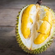 Durian Montong Utuh Di Jamin Manis