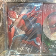 (黃埔聚寶坊B1b號舖門市現貨) Hottoys MMS658 The Amazing Spider Man