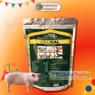Pig feeds Price & Voucher Aug 2026 | BigGo Philippines