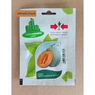 MERAH Red Arrow Seeds - New Madesta F1 Melon
