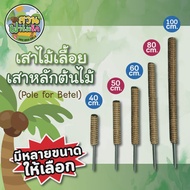 🌴หลักไม้เลื้อยเสาใยมะพร้าว ขนาด 100 Cm. หลักใช้ท่อ PVC ไม่ก่อให้เกิดเชื้อราในดิน เหมาะสำหรับตกแต่งสวน