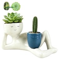 Flower Pot Cactus Planter Plant Pot