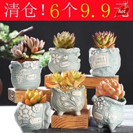 Preferred Succulent Flowerpot Ceramic Stoneware Creative Indoor Succulent Plant Flowerpot Large Succulent Small Flowerpot Pl