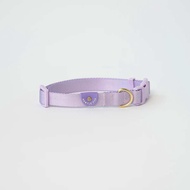 Dog Collar ( Light collection ) ปลอกคอสุนัข ปลอกคอหมา
