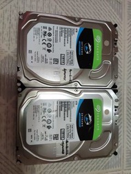 Seagate Skyhawk 6TB 硬碟