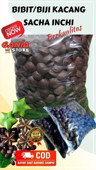 BIBIT / Biji kacang sacha inchi higt quality 1kg MDPL 1200