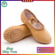 Ballet shoes, soft camel leather ballet shoes