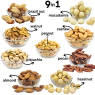 mix nuts 9 in 1 500gm  nuts only