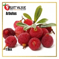 ARBUTUS FRUITS 250G FROM CHINA (FRUIT )