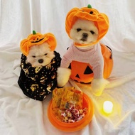 Adorable Halloween Pumpkin Costume Hats for Cats & Dogs – Pet Costume Accessories