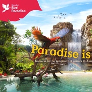 Bird Paradise with Tram Mandai Singapore discounted price tickets