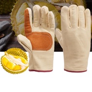 Gardening Gloves, Durian Picking Gloves, Weeding, Planting, Canvas, Warehouse, Women, Men, Framer, H