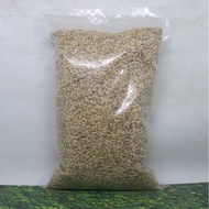 GABAH BANGKOK 1 KG PAKAN MAKANAN AYAM BURUNG LOVEBIRD PERKUTUT KENARI TEKUKUR MERPATI DLL