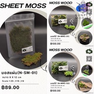 N&M Sheet Moss Wood For Decorating Simulated Scenes