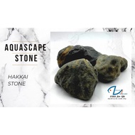 Hakkai Stone decoration for Aquascape