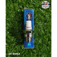 Motorcycle Spark Plug Lawn Mower SR (BM6A BP7HS BP8ES C7HSA CMR5H CPR7EA-9 CR8E)