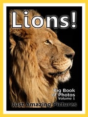 Just Lion Photos! Big Book of Photographs &amp; Pictures of Lions, King of the Jungle Animals, Vol. 1 Big Book of Photos