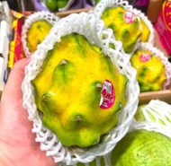 🇪🇨 厄瓜多爾【大粒庒麒麟果💛】