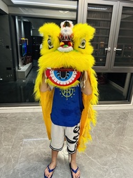 Kids Plastic Dance Lion Head 6/9-Inch Dance Lion Lions Head Foshan Xingshi South Lion Toy Performanc