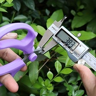 花艺师家用插花花艺专用剪刀修枝剪园艺花枝花卉修剪树枝工具鲜花Florist Household Pruning Scissors for Flower Arrangeyejdkui55.my