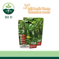 Biji Benih Timun Jepun Cucumber Japanese Kyoto Green Seeds日本青瓜 JOM TAMAN JT104