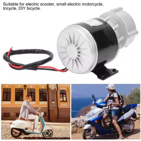 12V Electric Motor, 350W Gear Reduction Motor, DC Motor for E-Scooter, 3000RPM Motor for E-Scooter a