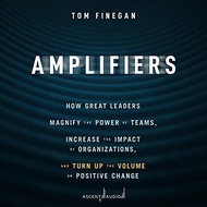 (Audible and ebooks in CD’s) Amplifiers