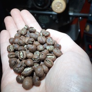 Cooked Beans-Bolivia Nicolas