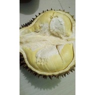 Durian Utuh Montong Palu Pari 4kg