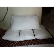 Sofa insert cushion /isi size 30x50 cm