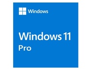 windows 11 pro original license