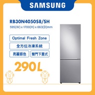 Samsung - 雙門雪櫃 290L (亮麗銀色) RB30N4050S8/SH 三星 保鮮室 冷凍 除臭 無霜 家電 家用電器