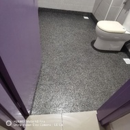 Epoxy flakes coating toilet